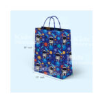 Gifting-Paper-Bag-Space-Big1